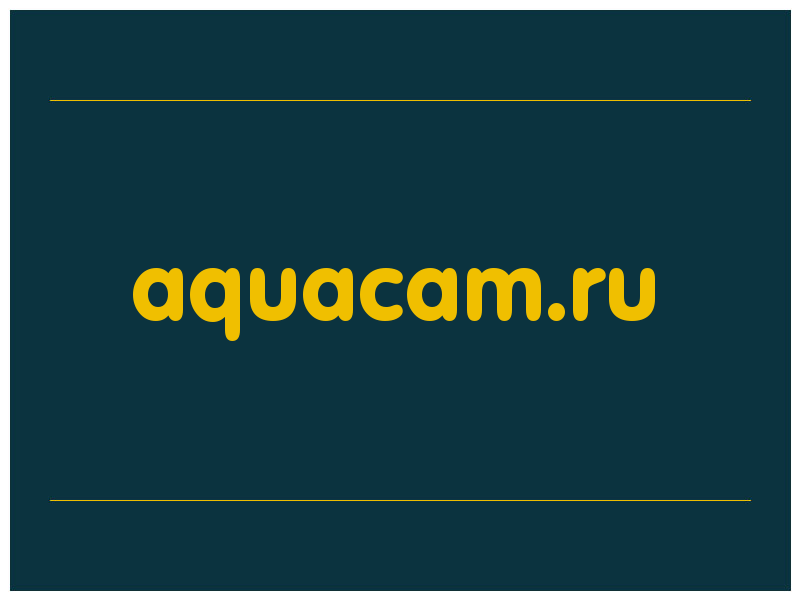 сделать скриншот aquacam.ru