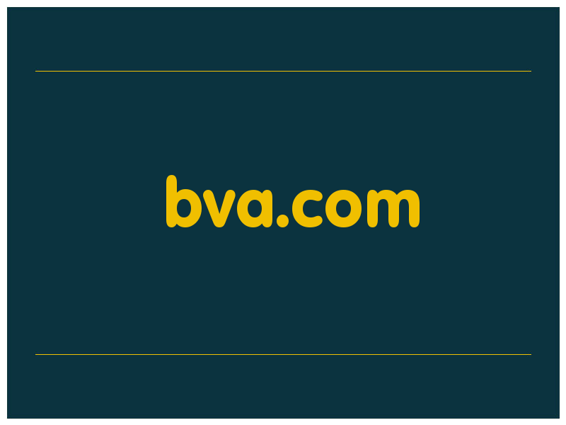 сделать скриншот bva.com