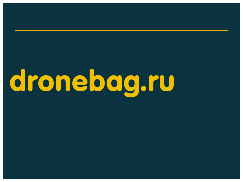 сделать скриншот dronebag.ru