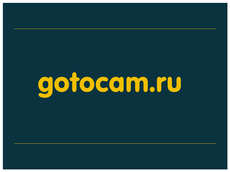 сделать скриншот gotocam.ru