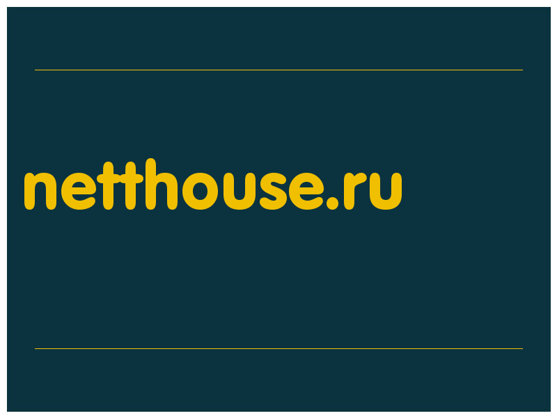 сделать скриншот netthouse.ru