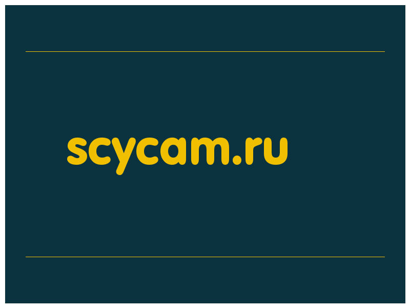 сделать скриншот scycam.ru