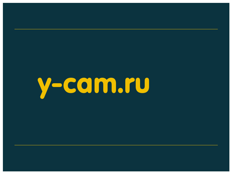 сделать скриншот y-cam.ru