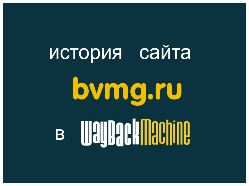 история сайта bvmg.ru