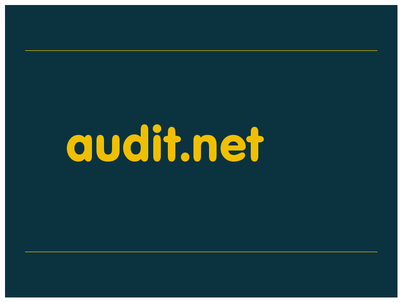 сделать скриншот audit.net