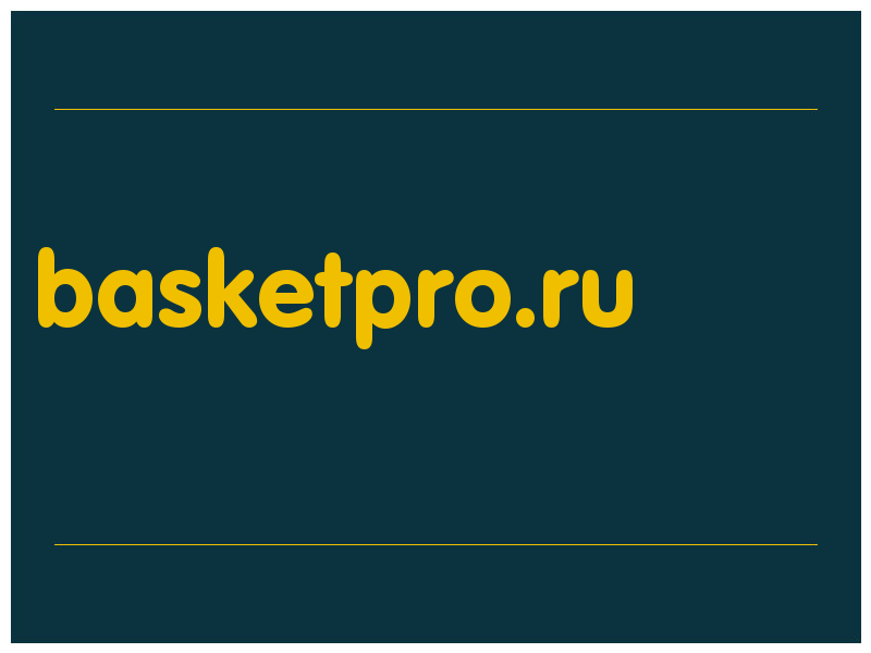 сделать скриншот basketpro.ru