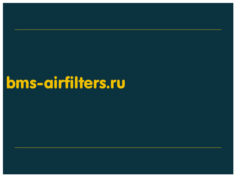 сделать скриншот bms-airfilters.ru