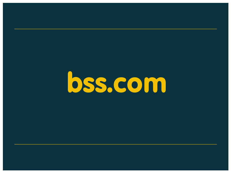 сделать скриншот bss.com