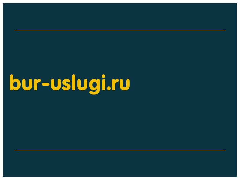 сделать скриншот bur-uslugi.ru