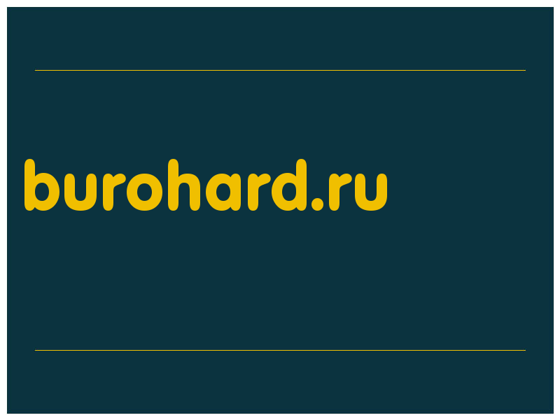 сделать скриншот burohard.ru