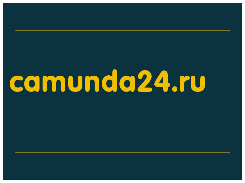 сделать скриншот camunda24.ru