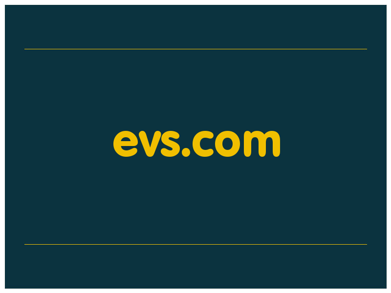 сделать скриншот evs.com