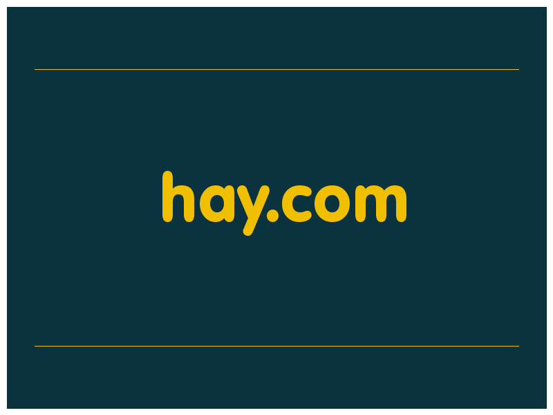 сделать скриншот hay.com