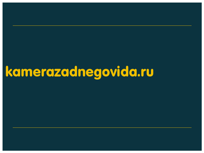 сделать скриншот kamerazadnegovida.ru