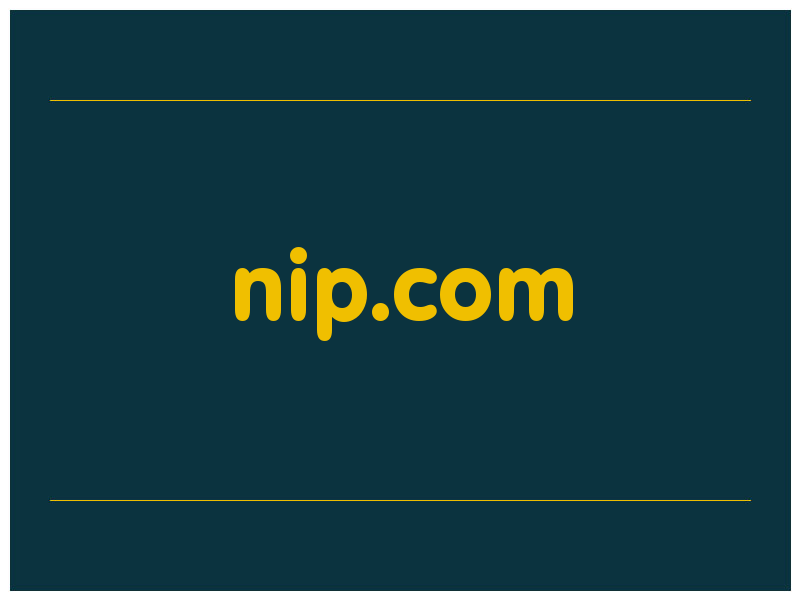 сделать скриншот nip.com