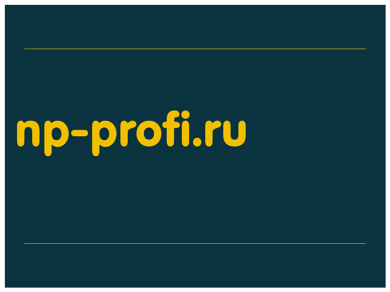 сделать скриншот np-profi.ru