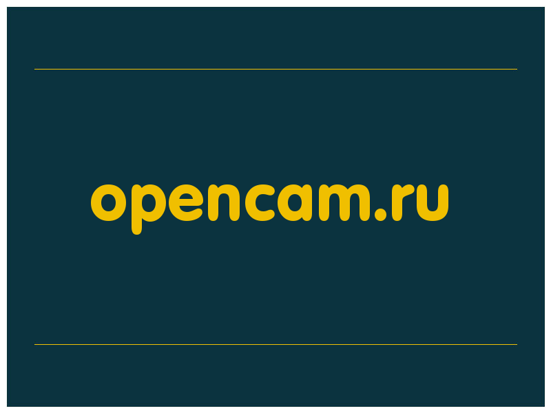 сделать скриншот opencam.ru