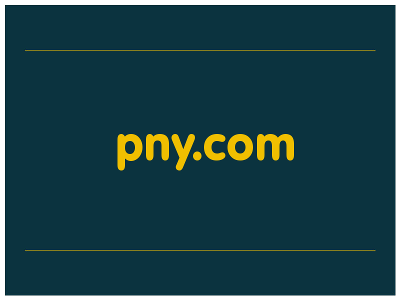 сделать скриншот pny.com