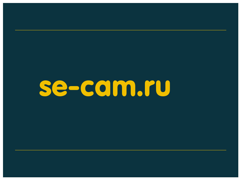 сделать скриншот se-cam.ru