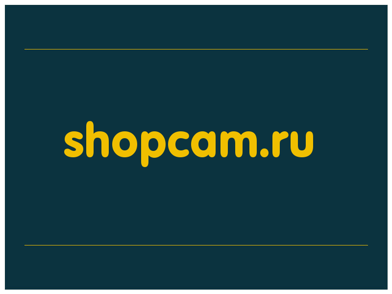 сделать скриншот shopcam.ru