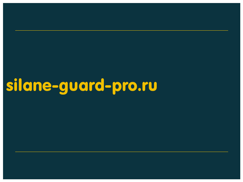 сделать скриншот silane-guard-pro.ru