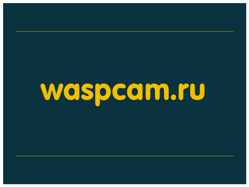 сделать скриншот waspcam.ru