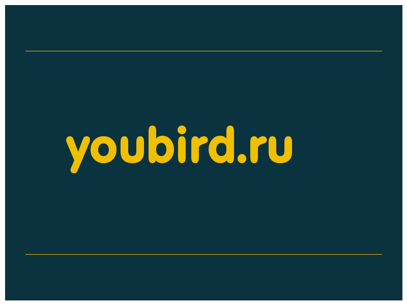 сделать скриншот youbird.ru