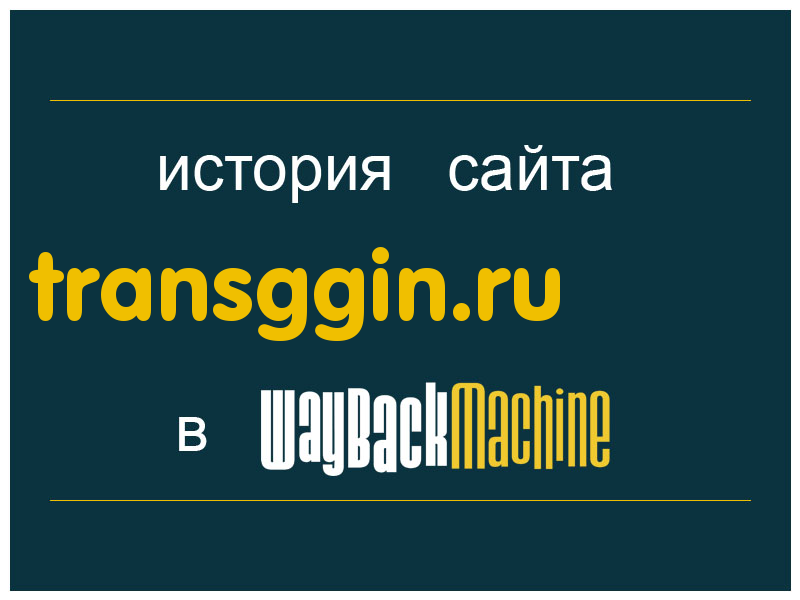 история сайта transggin.ru